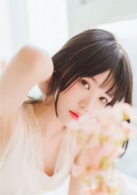 全集免费观看